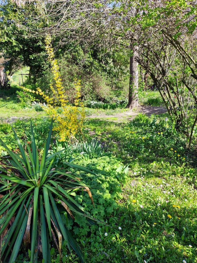 Il Giardino Del Gallo Cherasco Exterior foto