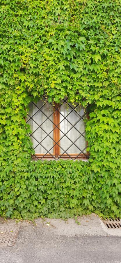 Il Giardino Del Gallo Cherasco Exterior foto