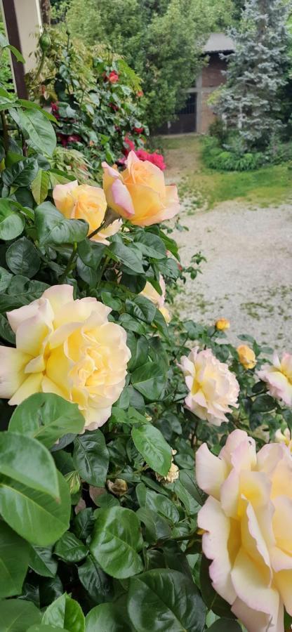 Il Giardino Del Gallo Cherasco Exterior foto