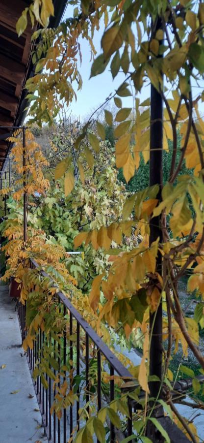 Il Giardino Del Gallo Cherasco Exterior foto