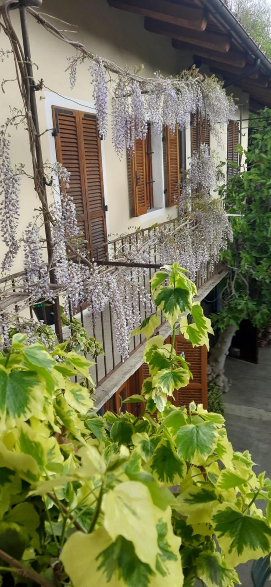 Il Giardino Del Gallo Cherasco Exterior foto