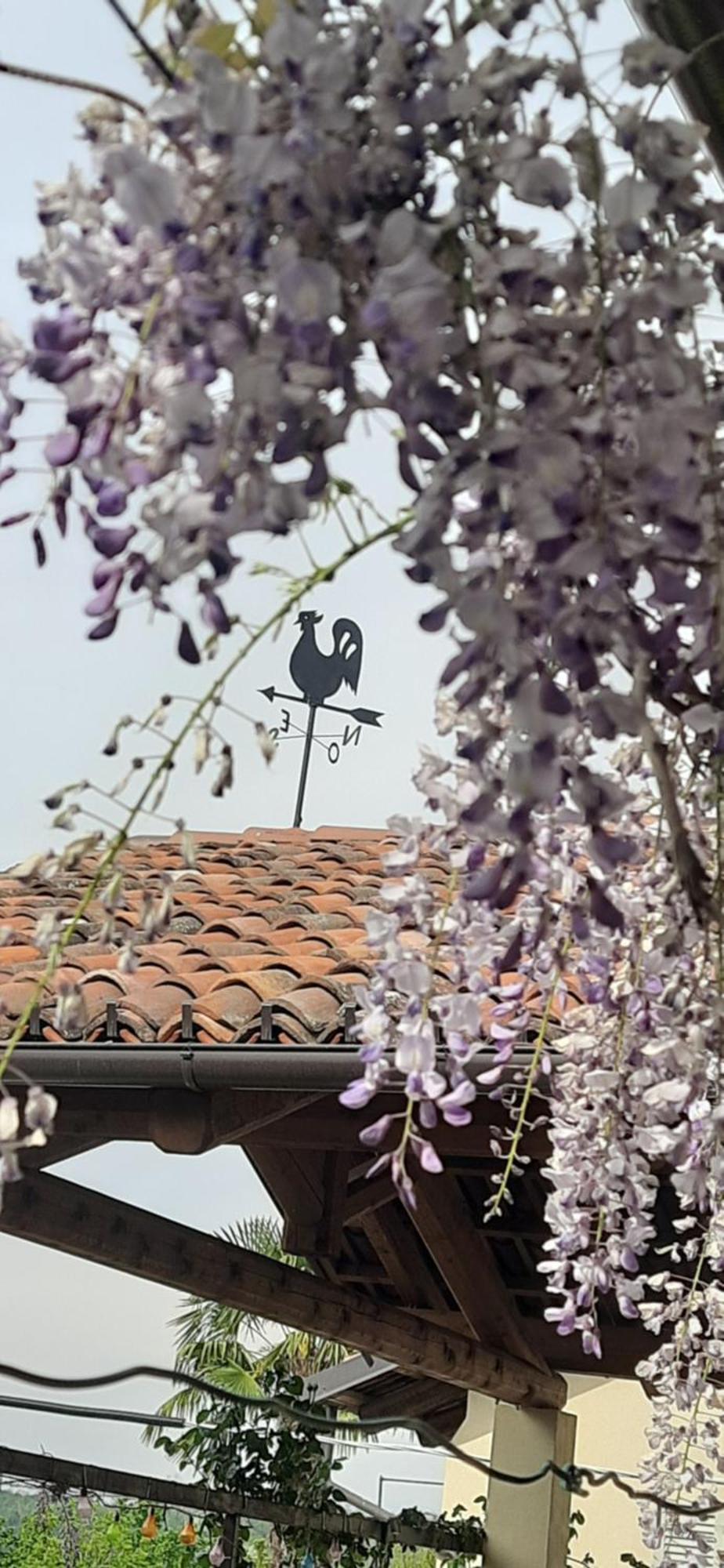 Il Giardino Del Gallo Cherasco Exterior foto