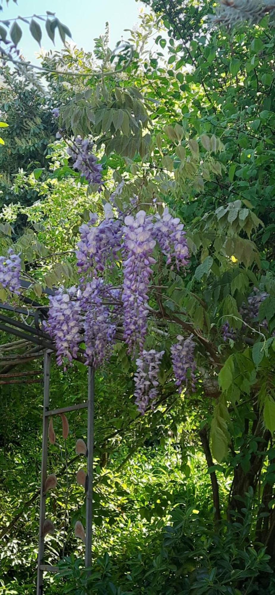 Il Giardino Del Gallo Cherasco Exterior foto